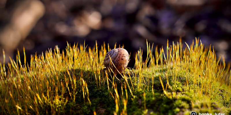 Optimized for reading with sidebar